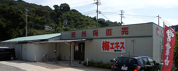 紀州南高梅干通販の専門店/梅干し業務用販売- 深見梅店 -