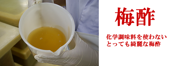 紀州南高梅干通販の専門店/梅干し業務用販売- 深見梅店 -