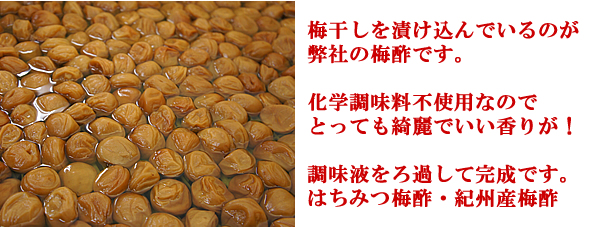 紀州南高梅干通販の専門店/梅干し業務用販売- 深見梅店 -