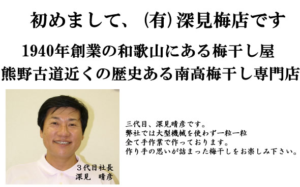 梅干し,梅,青梅,梅肉エキス,紀州南高梅干通販の専門店 - 深見梅店 -お試しセット