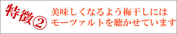 梅干し,梅,青梅,梅肉エキス,紀州南高梅干通販の専門店 - 深見梅店 -お試しセット