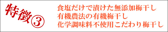 梅干し,梅,青梅,梅肉エキス,紀州南高梅干通販の専門店 - 深見梅店 -お試しセット