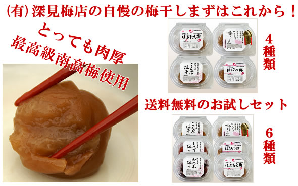 梅干し,梅,青梅,梅肉エキス,紀州南高梅干通販の専門店 - 深見梅店 -お試しセット