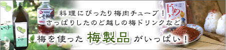 梅干しを使った紀州和歌山の梅製品がいっぱい！