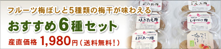 紀州和歌山の６種類の梅干しが入った送料無料のセット