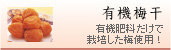 有機梅干