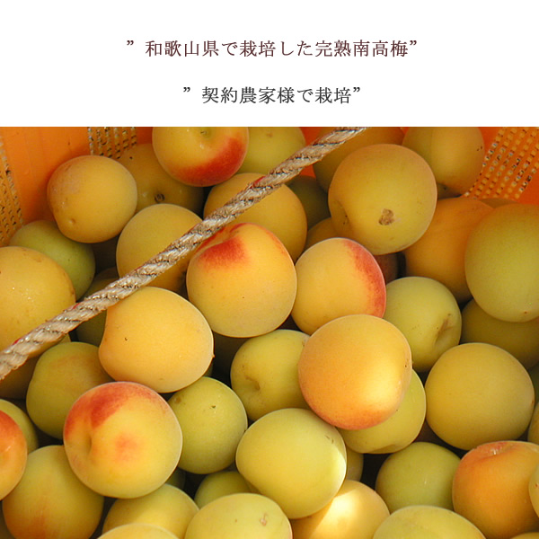和歌山県で栽培した完熟南高梅を使用
