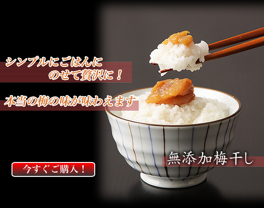 南高梅干し通販専門店の4年かけて作った自然農法・無農薬梅干し/無添加梅干し