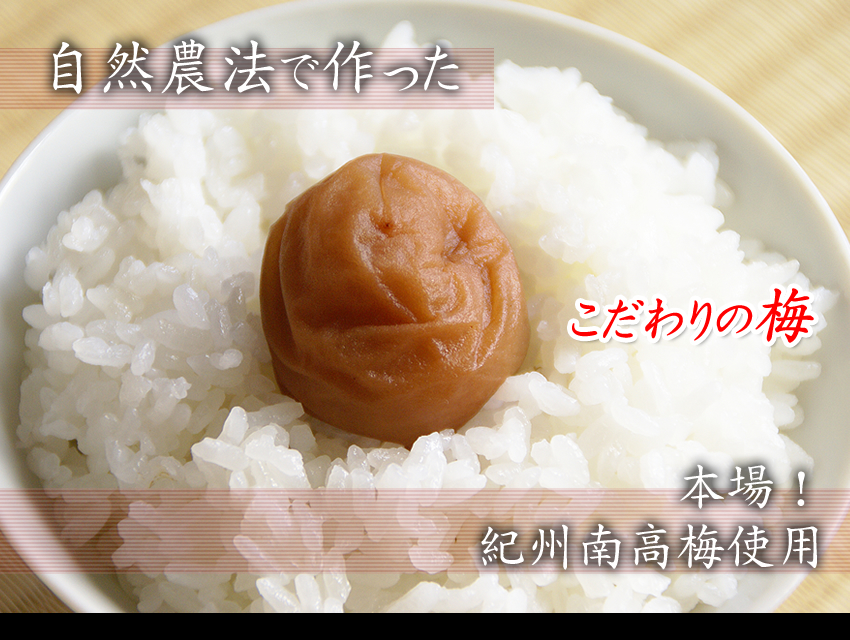 南高梅干し通販専門店の4年かけて作った自然農法・無農薬梅干し/無添加梅干し