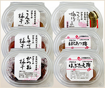 お試しセット（6種類）