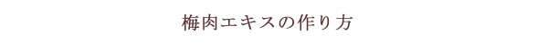 梅肉エキスの作り方