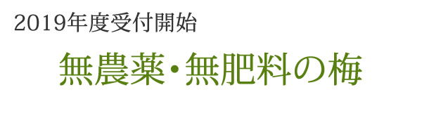 2014年度無農薬・無肥料栽培の南高梅販売受付開始