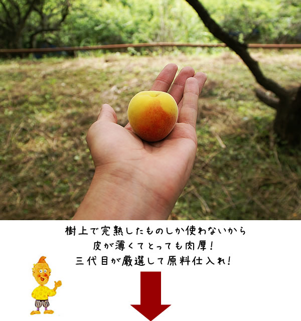 紀州南高梅干通販専門店/梅干し通販- 深見梅店 -梅干しが出来るまで工場見学