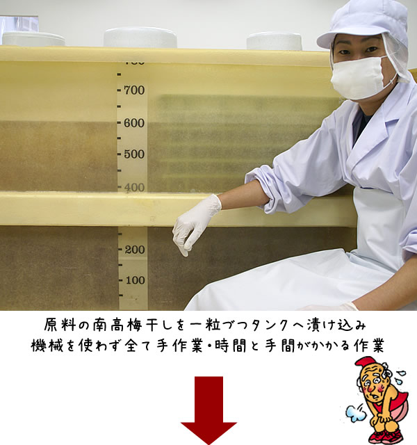 紀州南高梅干通販専門店/梅干し通販- 深見梅店 -梅干しが出来るまで工場見学