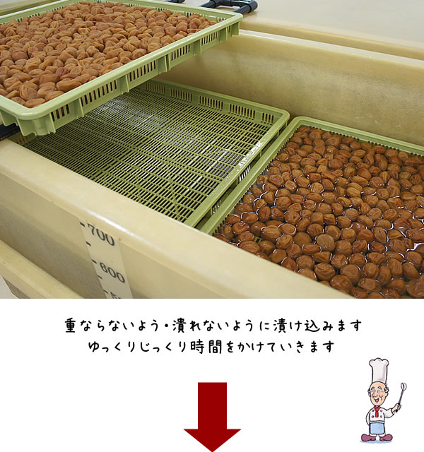 紀州南高梅干通販専門店/梅干し通販- 深見梅店 -梅干しが出来るまで工場見学