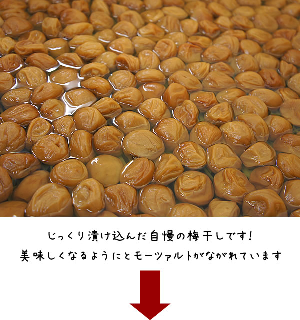紀州南高梅干通販専門店/梅干し通販- 深見梅店 -梅干しが出来るまで工場見学