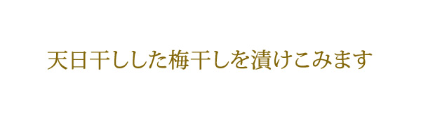 梅干しの作り方、美味しくなるよう想いをこめて