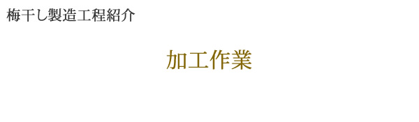 梅干しの作り方、加工作業