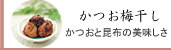 完熟南高梅干通販専門店かつお梅干