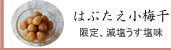 紀州南高梅干通販専門店,無農薬梅干し通販の深見梅店の季節限定はぶたえ小梅干し