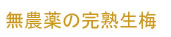 無農薬・無肥料栽培の完熟生梅