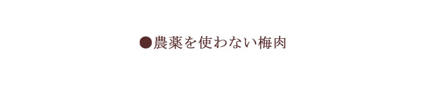 農薬を使わない梅肉