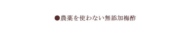 和歌山県産の青梅から作った梅ジュース