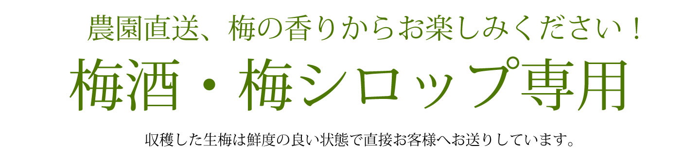 農園直送、梅の香りからお楽しみください。