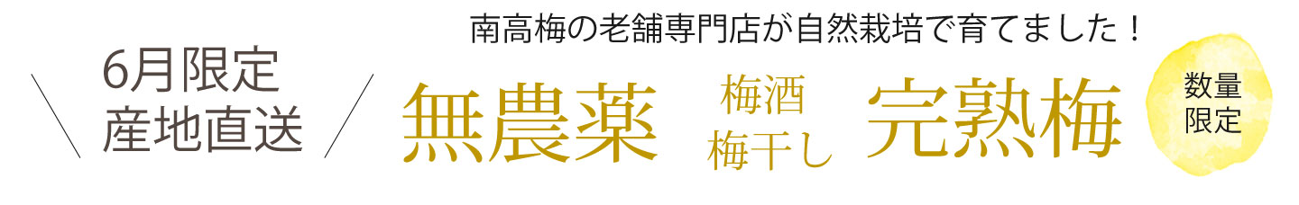 6月限定　無農薬の梅酒・梅干し用の完熟梅