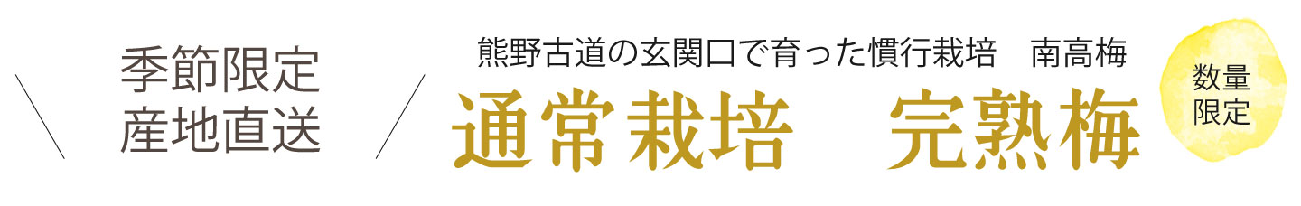 和歌山県産青梅(生梅)を煮詰めて作った無添加 梅肉エキスを産地直送