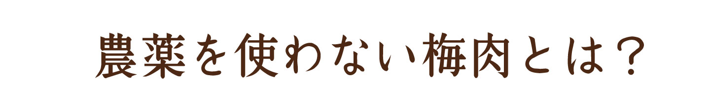 フルーツみたいな梅、フルーツ梅干し | 紀州南高梅干し通販専門店 有限会社深見梅店