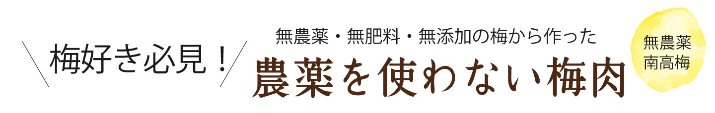 和歌山県産青梅（生梅）を煮詰めて作った無添加　梅肉エキスを産地直送