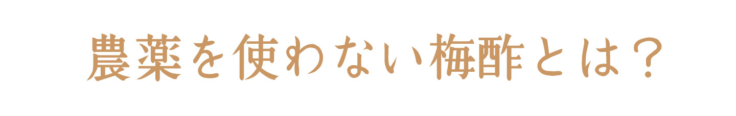 フルーツみたいな梅、フルーツ梅干し | 紀州南高梅干し通販専門店 有限会社深見梅店